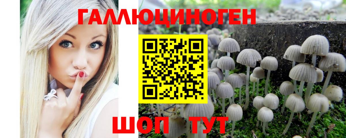 Сосновоборск  Галлюциногенные грибы GOLDEN TEACHER  Вход с VPN 