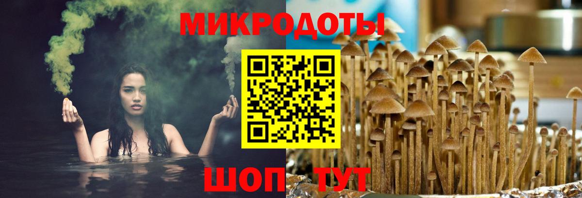 Галлюциногенные грибы прущие грибы Сосновоборск